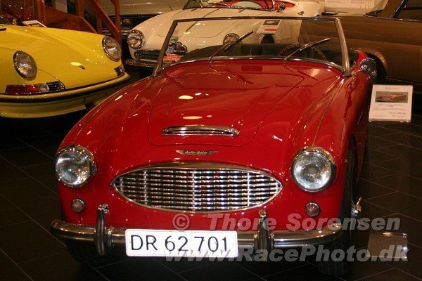 stelvio_017.jpg